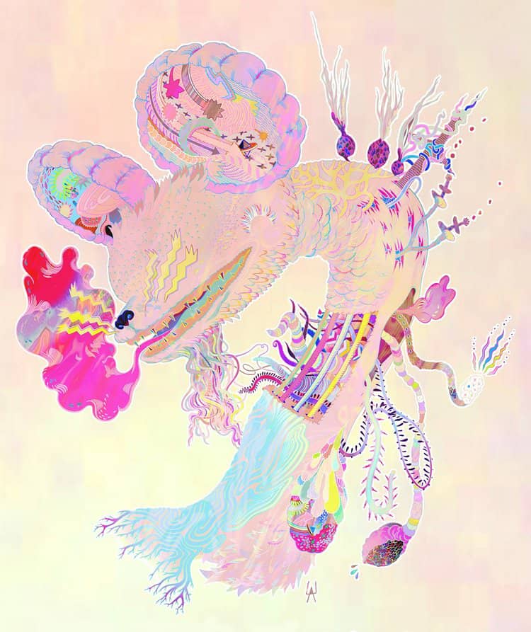 Coral Dream